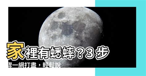 蟋蟀跑進家裡怎麼辦|【房間有蟋蟀】房間有蟋蟀？驚！可能是這5大原因造成的，教你3。